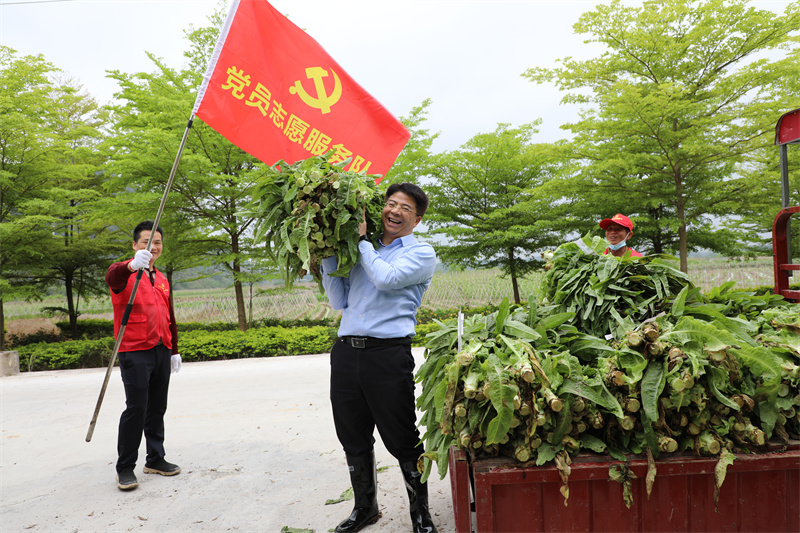 韋義勇幫助農(nóng)戶搬運(yùn)萵筍.jpg